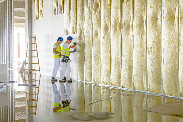 Best Types of Insulation in Cherokee, IA
